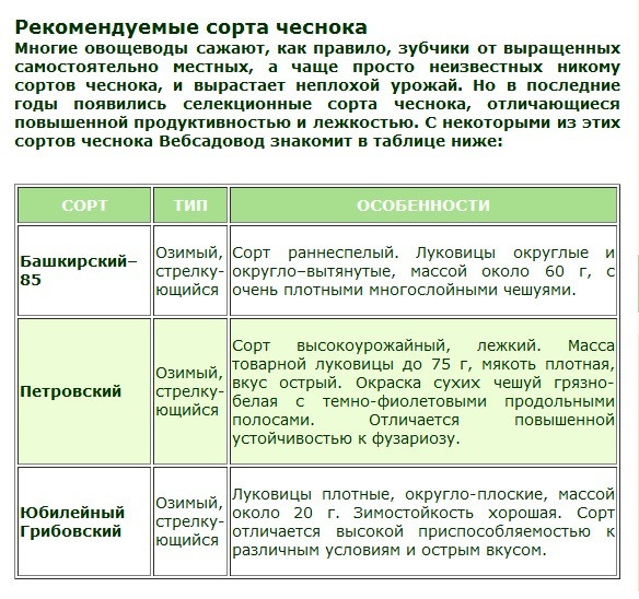 Схема удобрения чеснока